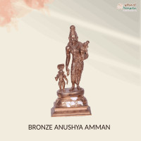 Bronze 9 Inch Anushya Amman