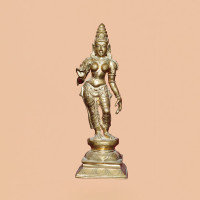 Bronze 18 inch sivagami