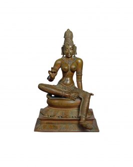 Bronze Bogasakthi 12 inch