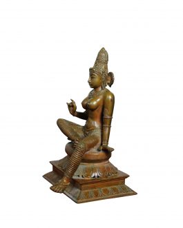 Bronze Bogasakthi 12 inch