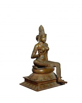 Bronze Bogasakthi 12 inch