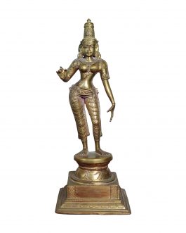 Bronze Sivagami 15 inch