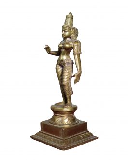 Bronze Sivagami 15 inch